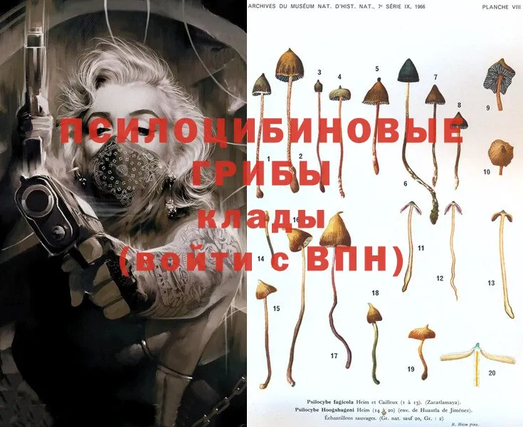 Галлюциногенные грибы MAGIC MUSHROOMS  Джанкой 